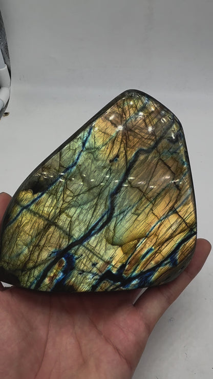 Labradorite forme libre AA+ 907g (Lot 1)