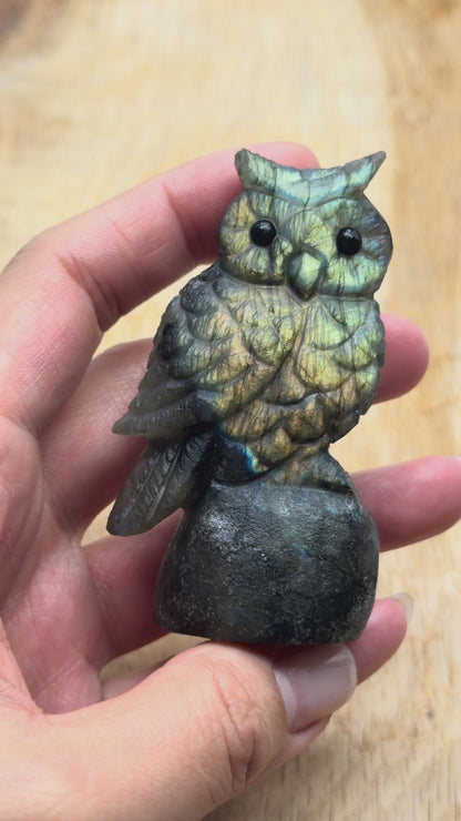 Figurine Hibou en Labradorite AA+ 8x4.5 cm (modèle unique nº30)