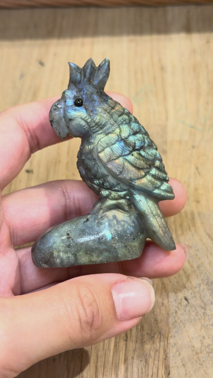 Figurine Perroquet en Labradorite AA+ 7x5 cm (modèle unique nº2)