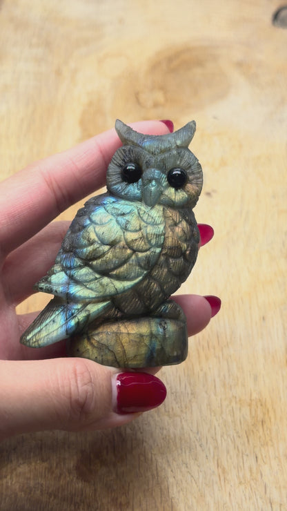 Figurine Hibou en Labradorite AA+ 8x5.5 cm (modèle unique nº17)
