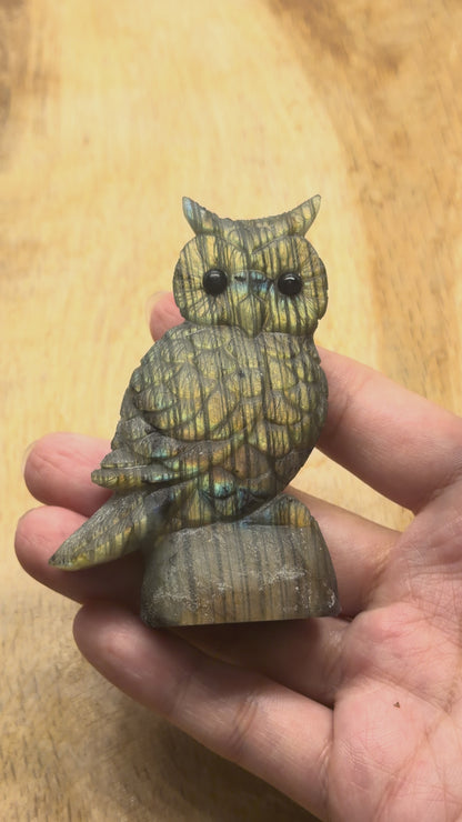 Figurine Hibou en Labradorite AA+ 8x4 cm (modèle unique nº20)