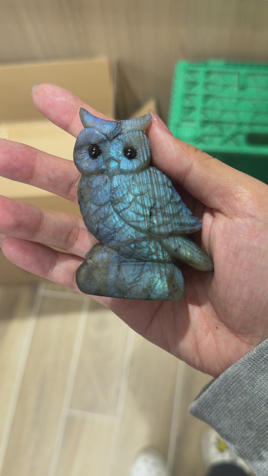 Figurine Hibou en Labradorite AA+ 8x5 cm (modèle unique nº7)