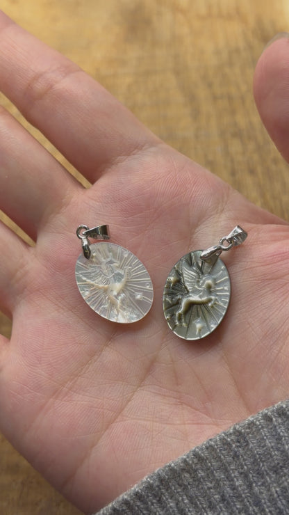 Pendentif Licorne forme ovale 15x20 mm en nacre