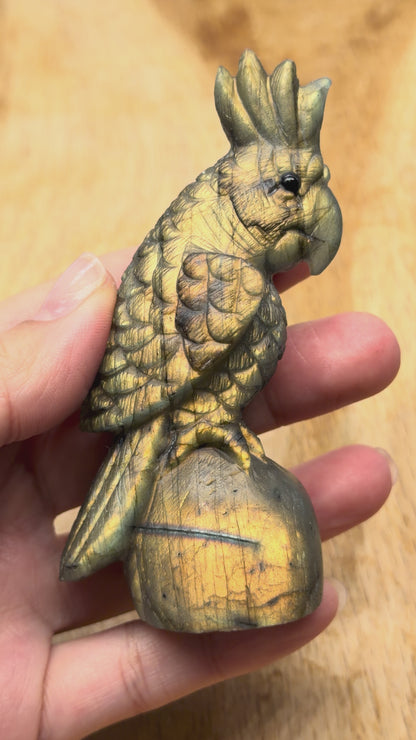 Figurine Perroquet en Labradorite AA+ 9x3.5 cm (modèle unique nº1)