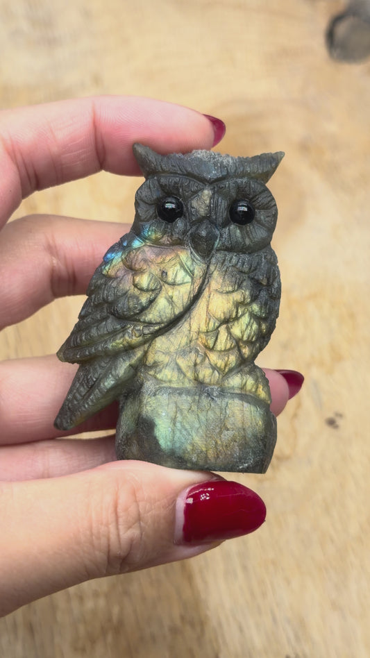 Figurine Hibou en Labradorite AA+ 6.5x4 cm (modèle unique nº4)