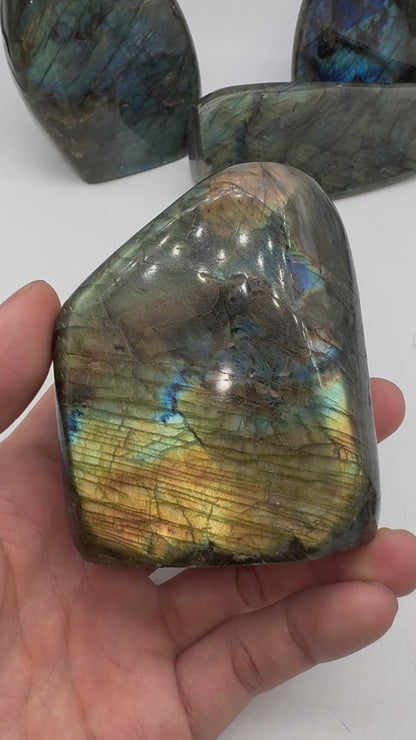 Labradorite forme libre AA+ 455g (Lot 28)