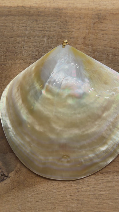 Pendentif Feuille nacre 10.5x10.5 cm