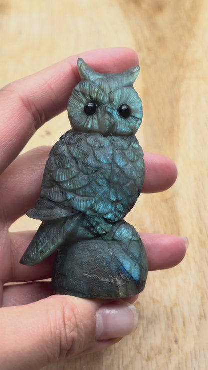 Figurine Hibou en Labradorite AA+ 7.5x4.5cm (modèle unique nº33)