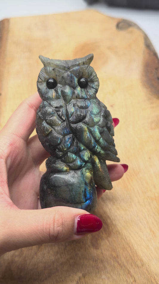 Figurine Hibou en Labradorite AA+ 11x6 cm (modèle unique nº13)