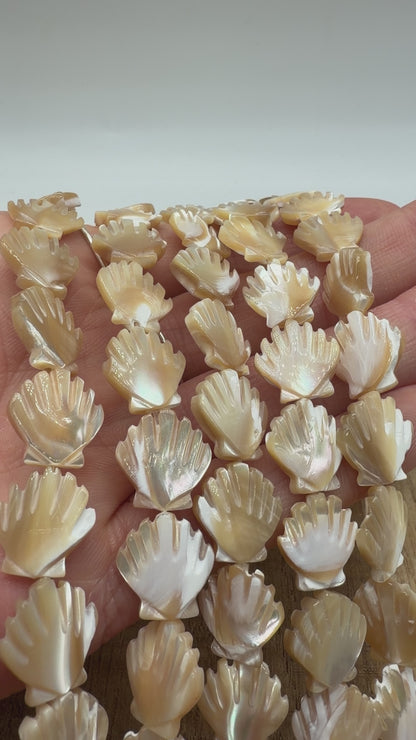 Fil de perle nacre dorée en coquillage 12 mm — percé verticalement