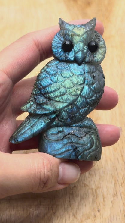 Figurine Hibou en Labradorite AA+ 7x5.5cm (modèle unique nº35)