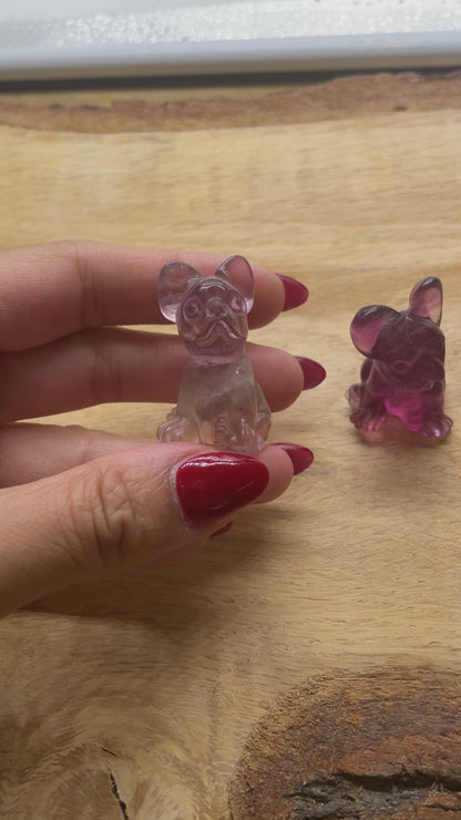 Figurine Bulldog en Fluorine multicolore 4x2 cm
