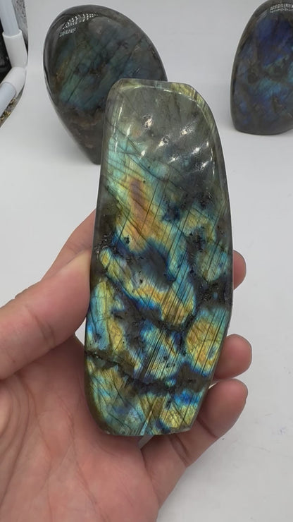 Labradorite forme libre AA+ 303g (Lot 32)