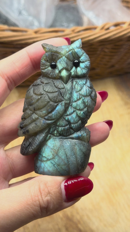 Figurine Hibou en Labradorite AA+ 7x4 cm (modèle unique nº9)