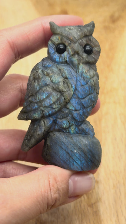 Figurine Hibou en Labradorite AA+ 7x4 cm (modèle unique nº31)
