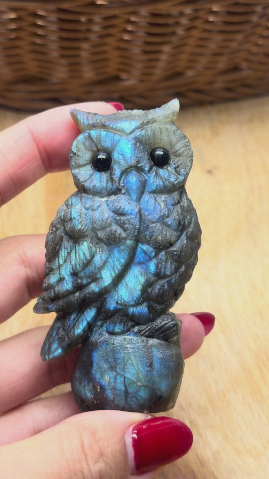 Figurine Hibou en Labradorite AA+ 7x4 cm (modèle unique nº12)