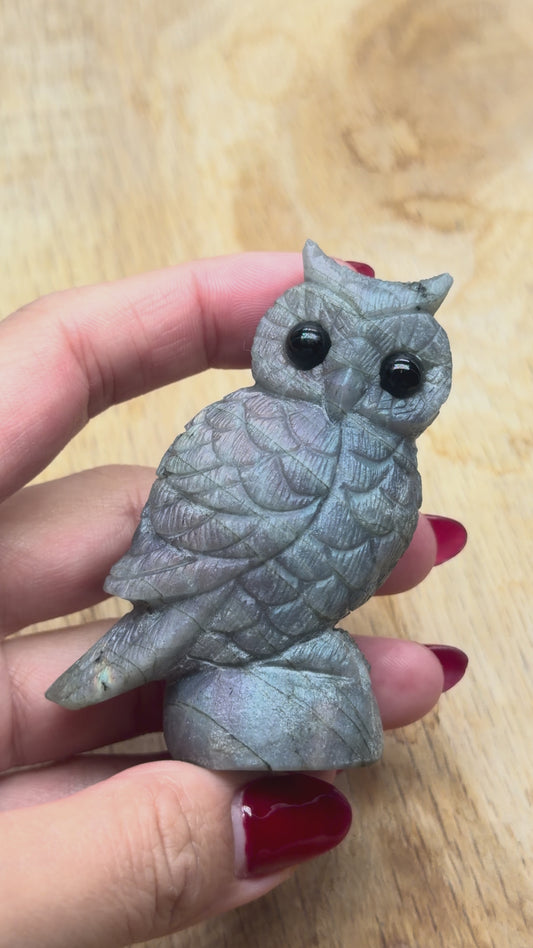 Figurine Hibou en Labradorite rose AA+ 7x4 cm (modèle unique nº7)