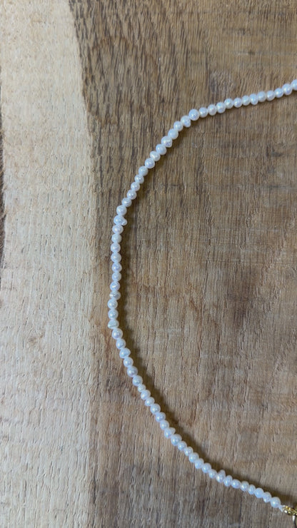 Collier en perles d’eau douce 3.6-4 mm attache bouée en acier doré numero 3
