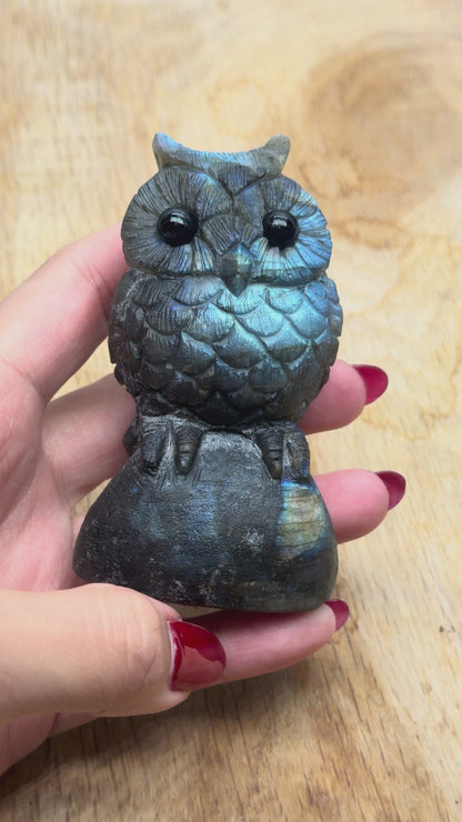 Figurine Hibou en Labradorite AA+ 6.5x4 cm (modèle unique nº5)