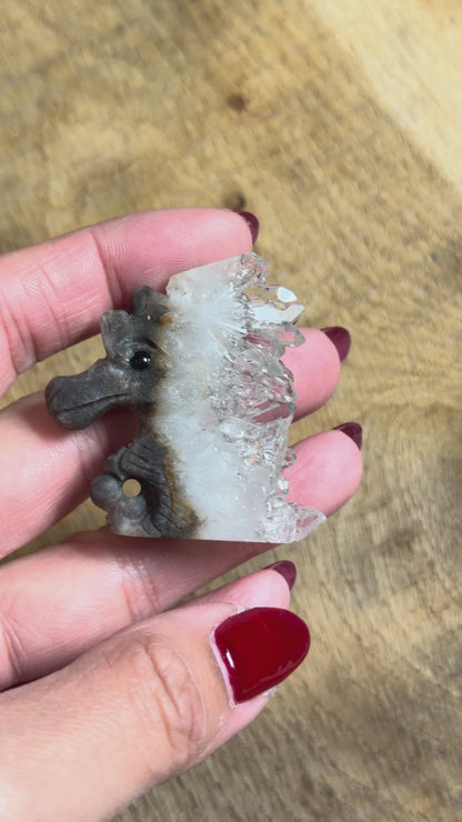 Figurine hippocampe en agate avec amas de cristal de roche 5x4 cm (chaque pièce est unique)