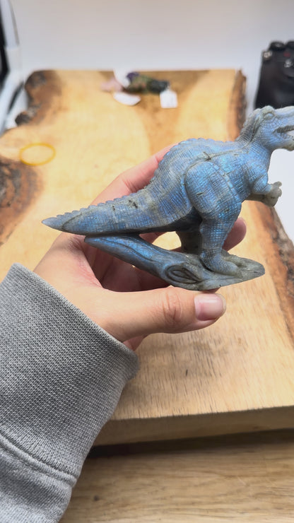 Figurine T-Rex en Labradorite AA+ 14x7.5 cm (modèle unique nº43)
