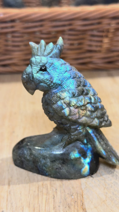 Figurine Perroquet en Labradorite AA+ 7.5x5.5 cm (modèle unique nº6)