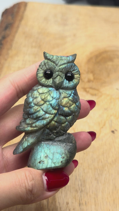 Figurine Hibou en Labradorite AA+ 8x4 cm (modèle unique nº19)