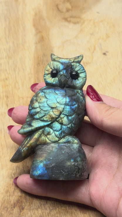 Figurine Hibou en Labradorite AA+ 10x4.5 cm (modèle unique nº16)