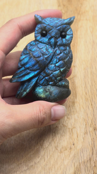 Figurine Hibou en Labradorite AA+ 7x5.5cm (modèle unique nº34)