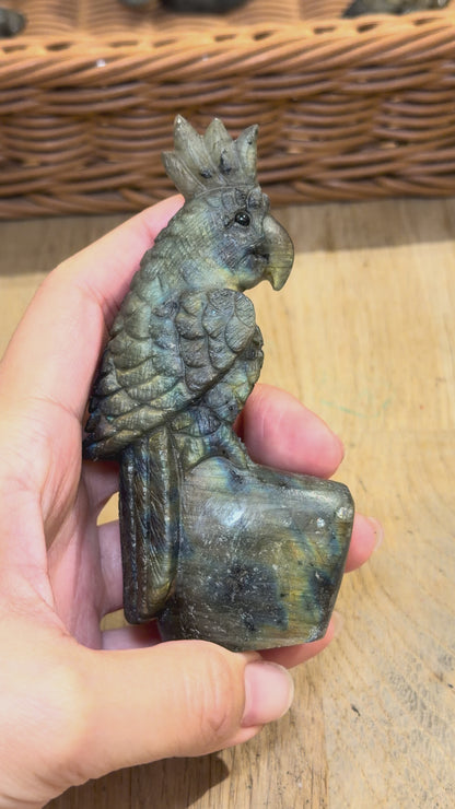 Figurine Perroquet en Labradorite AA+ (deux côtés bleutées) 11x5.5 cm (modèle unique nº8)