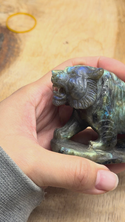 Figurine Tigre en Labradorite AA+ 11x4.5 cm (modèle unique nº45)
