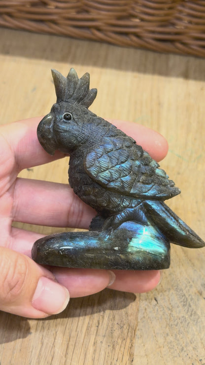 Figurine Perroquet en Labradorite AA+ 7.5x5.5 cm (modèle unique nº4)