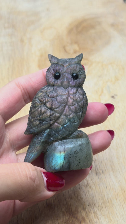 Figurine Hibou en Labradorite bleu rose AA+ 7x4 cm (modèle unique 2)