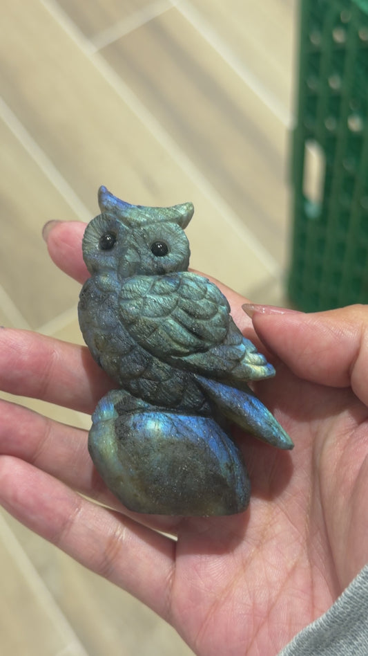 Figurine Hibou en Labradorite AA+ 7x4 cm (modèle unique nº1)