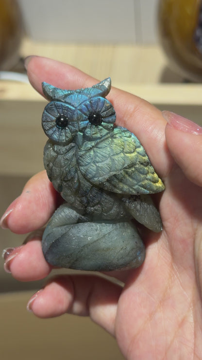 Figurine Hibou en Labradorite AA+ 6x4 cm (modèle unique nº6)