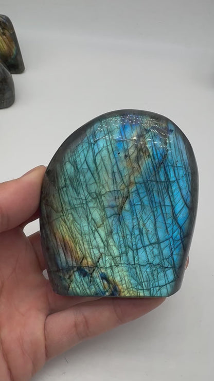 Labradorite forme libre AA+ 349g (Lot 15)