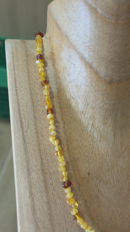 Collier Ambre pour adulte (Reference 4)