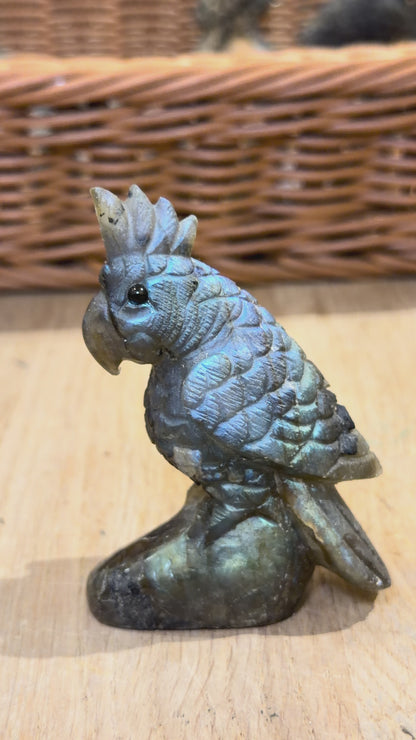 Figurine Perroquet en Labradorite AA+ 7.5x5.5 cm (modèle unique nº5)