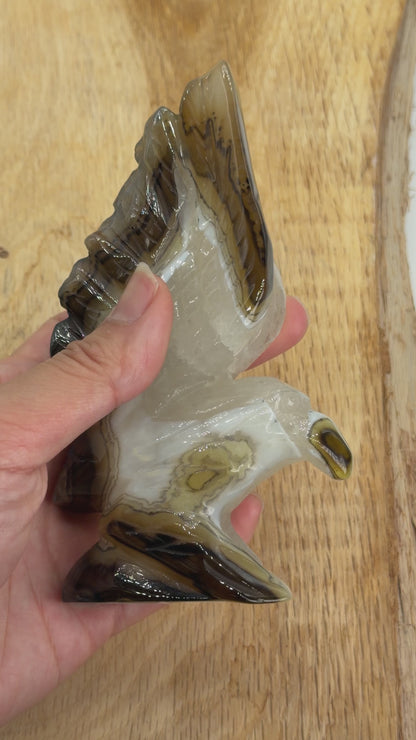 Figurine Aigle en Agate Botswana A+ 14x8 cm (modèle unique nº3)