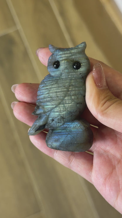 Figurine Hibou en Labradorite AA+ 7x4.5cm (modèle unique nº10)