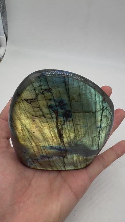 Labradorite forme libre AA+ 831g (Lot 5)